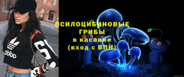 кристаллы Карпинск