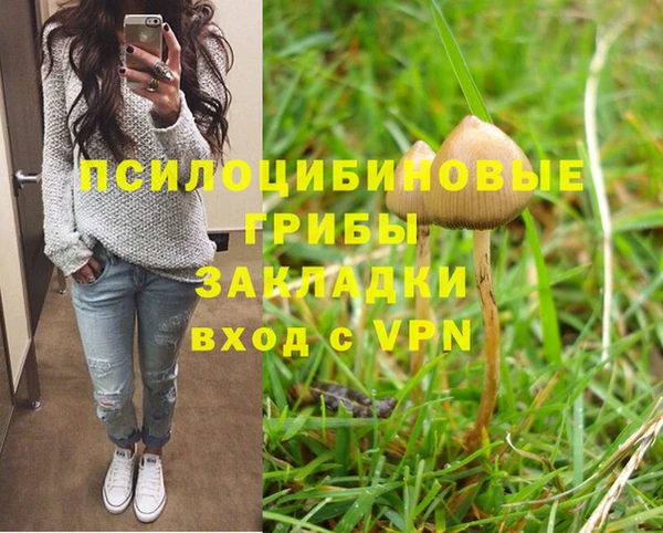 мяу мяу мука Алзамай