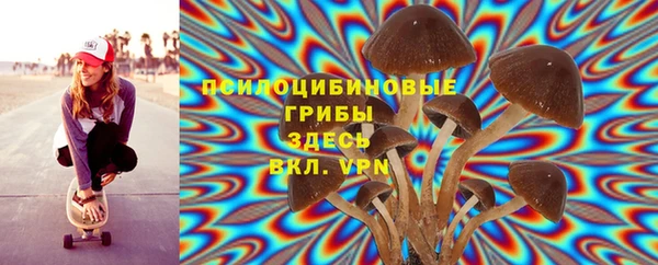 мяу мяу мука Алзамай