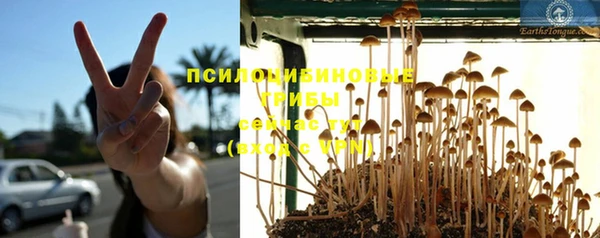 mix Алексин