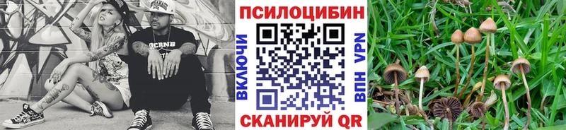 Галлюциногенные грибы Cubensis  Сосенский 
